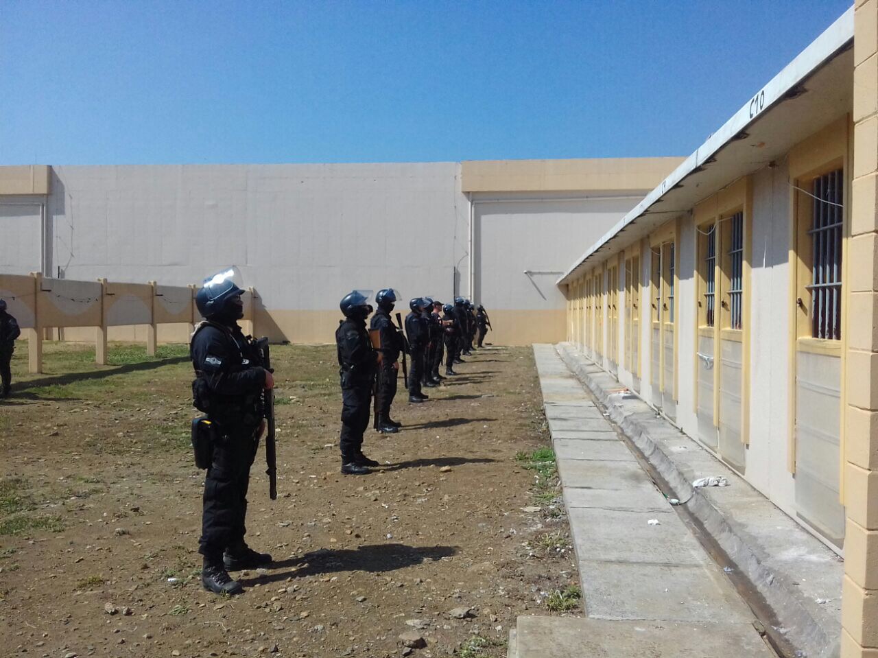 Curitibanos 10
