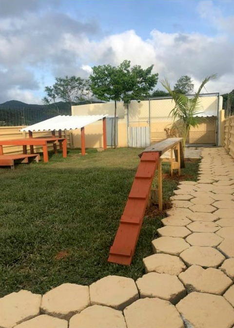 Imagem 2