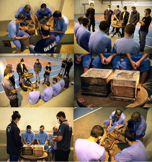 Apicultura 8