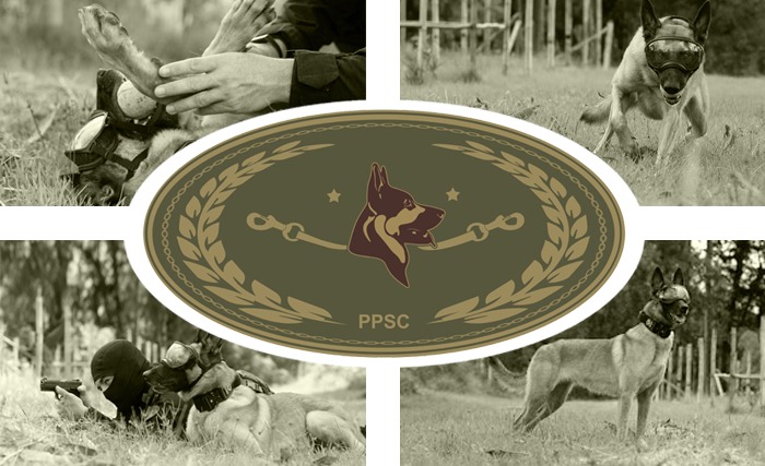 CCCP Site Reel
