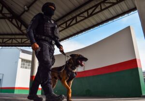 GOC do DEASE: A Força que une Segurança, Reeducação e Empatia com Cães do sistema socioeducativo de SC